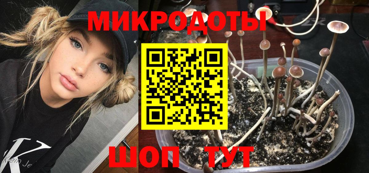 Псилоцибиновые грибы прущие грибы Хасавюрт